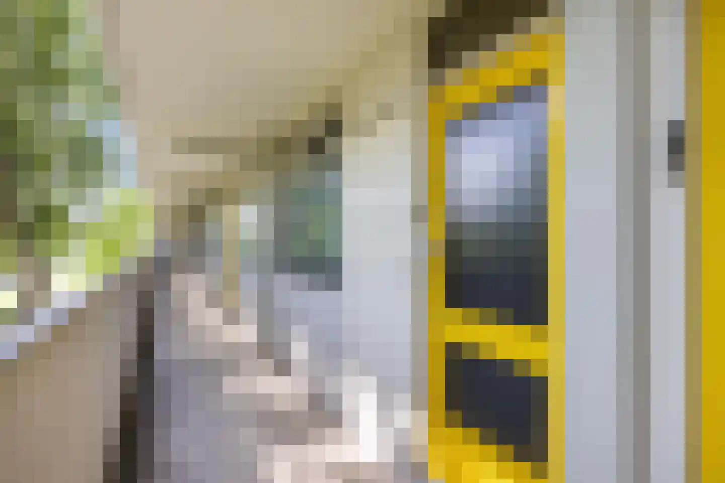 Tjaarda 292 Drachten thumbnail 7