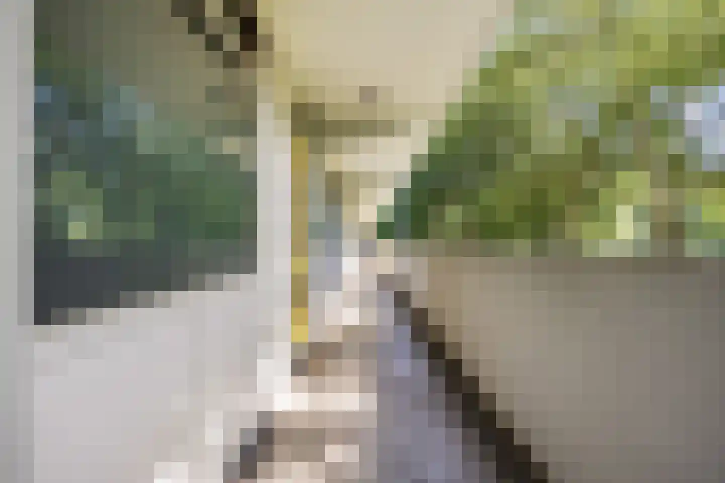 Tjaarda 292 Drachten thumbnail 8