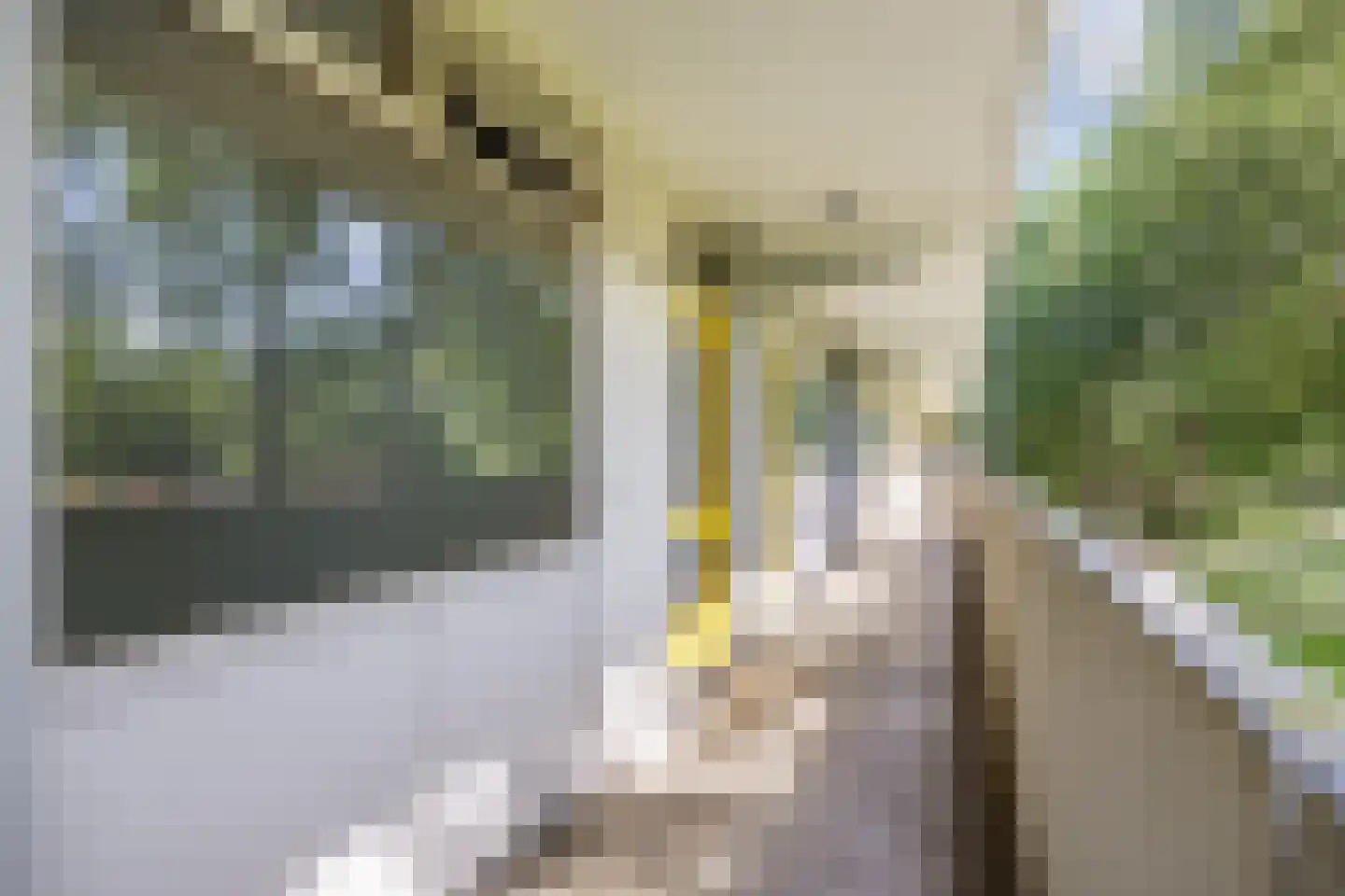 Tjaarda 292 Drachten thumbnail 9
