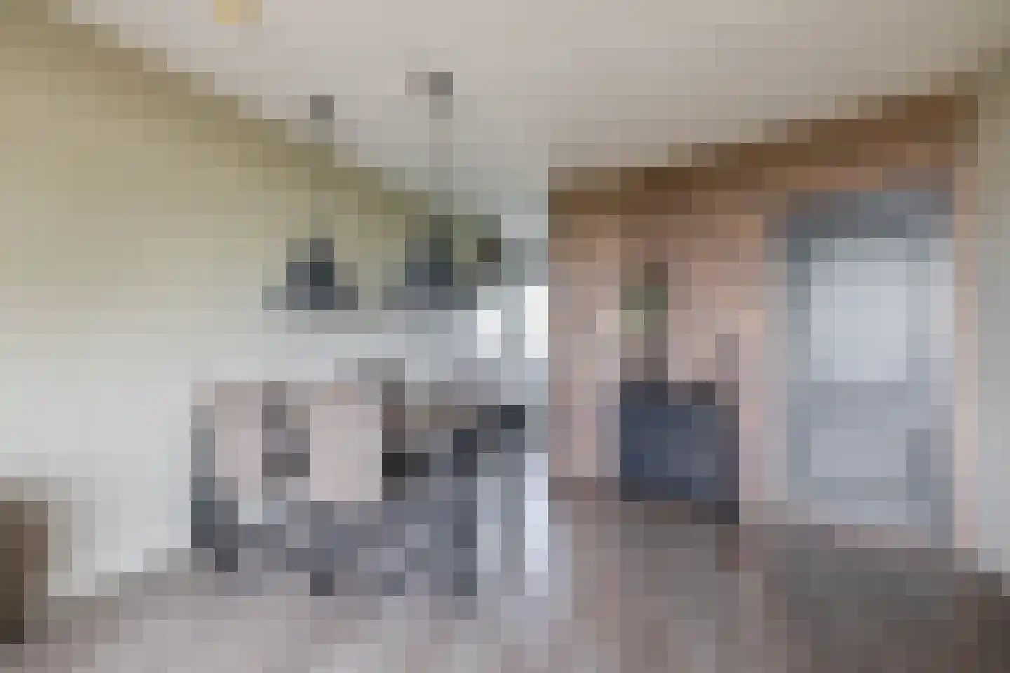 Tjaarda 30 Drachten thumbnail 11
