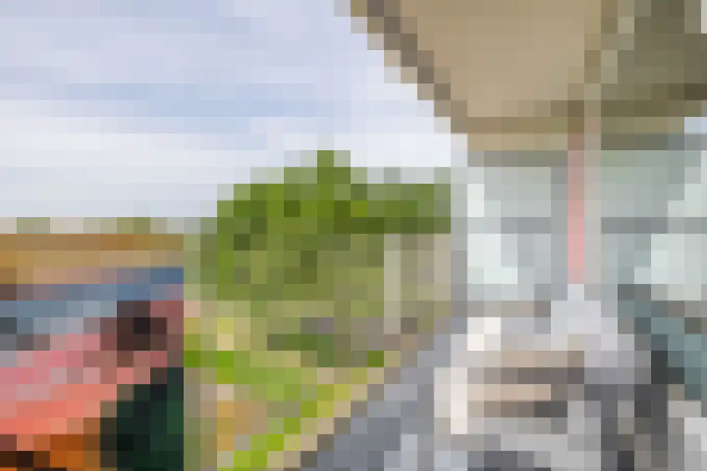 Tjaarda 30 Drachten thumbnail 16