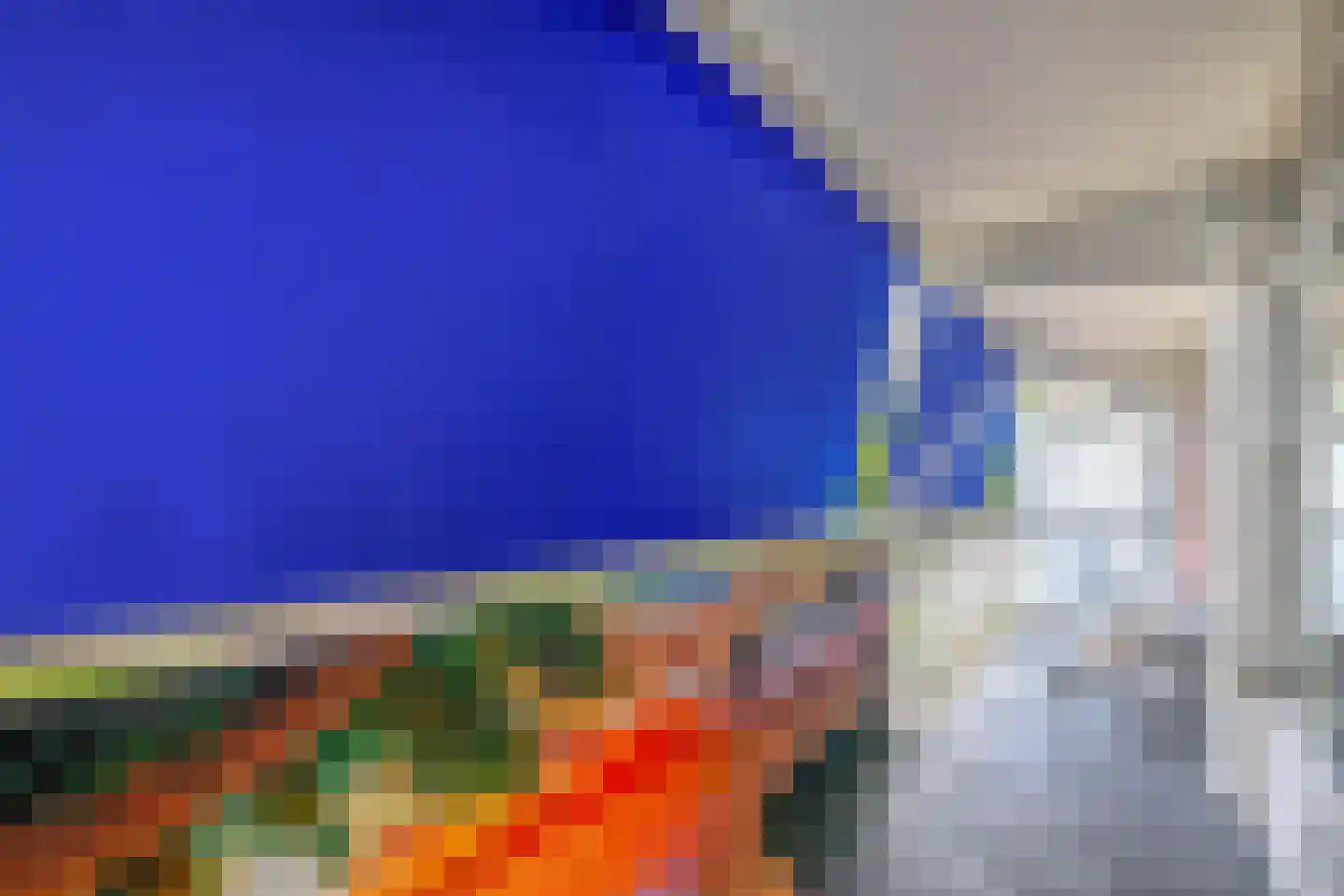 Tjaarda 30 Drachten thumbnail 17