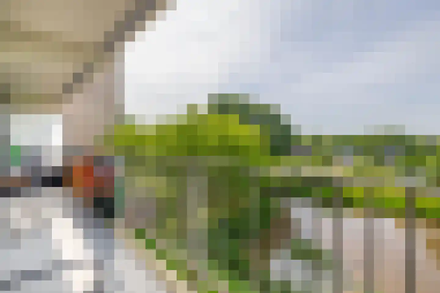 Tjaarda 30 Drachten thumbnail 4