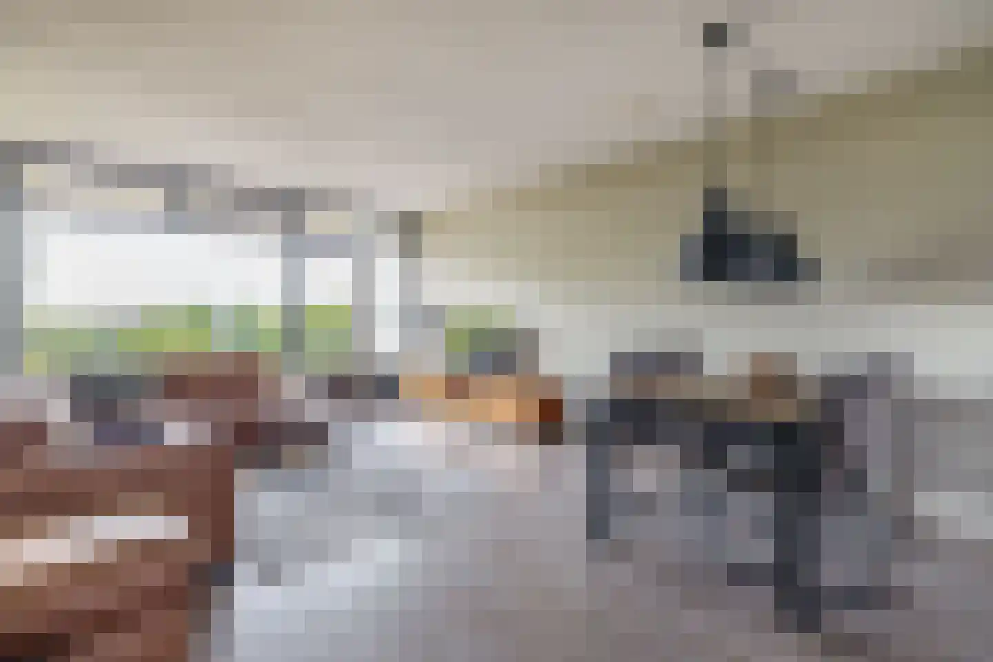 Tjaarda 30 Drachten thumbnail 7