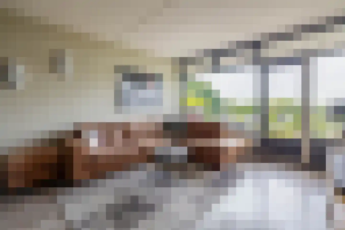 Tjaarda 30 Drachten thumbnail 9
