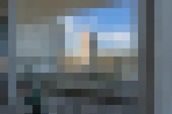 Tjaarda 304 a Drachten thumbnail 19