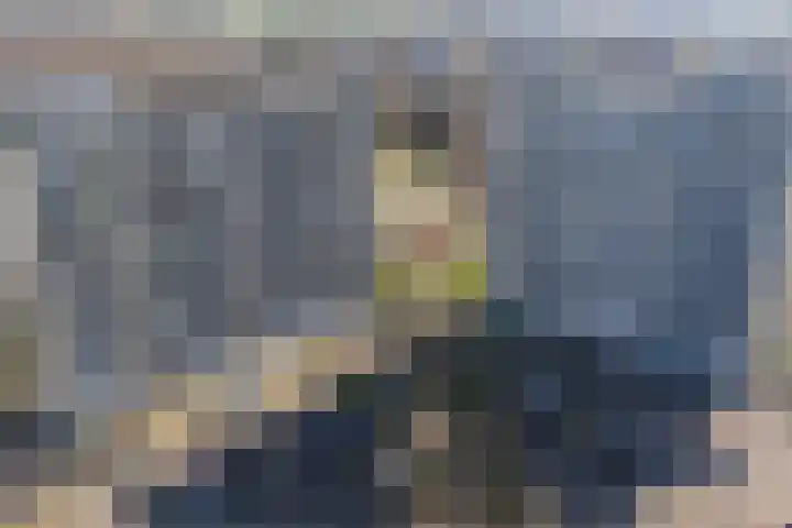 Tjaarda 304 a Drachten thumbnail 23