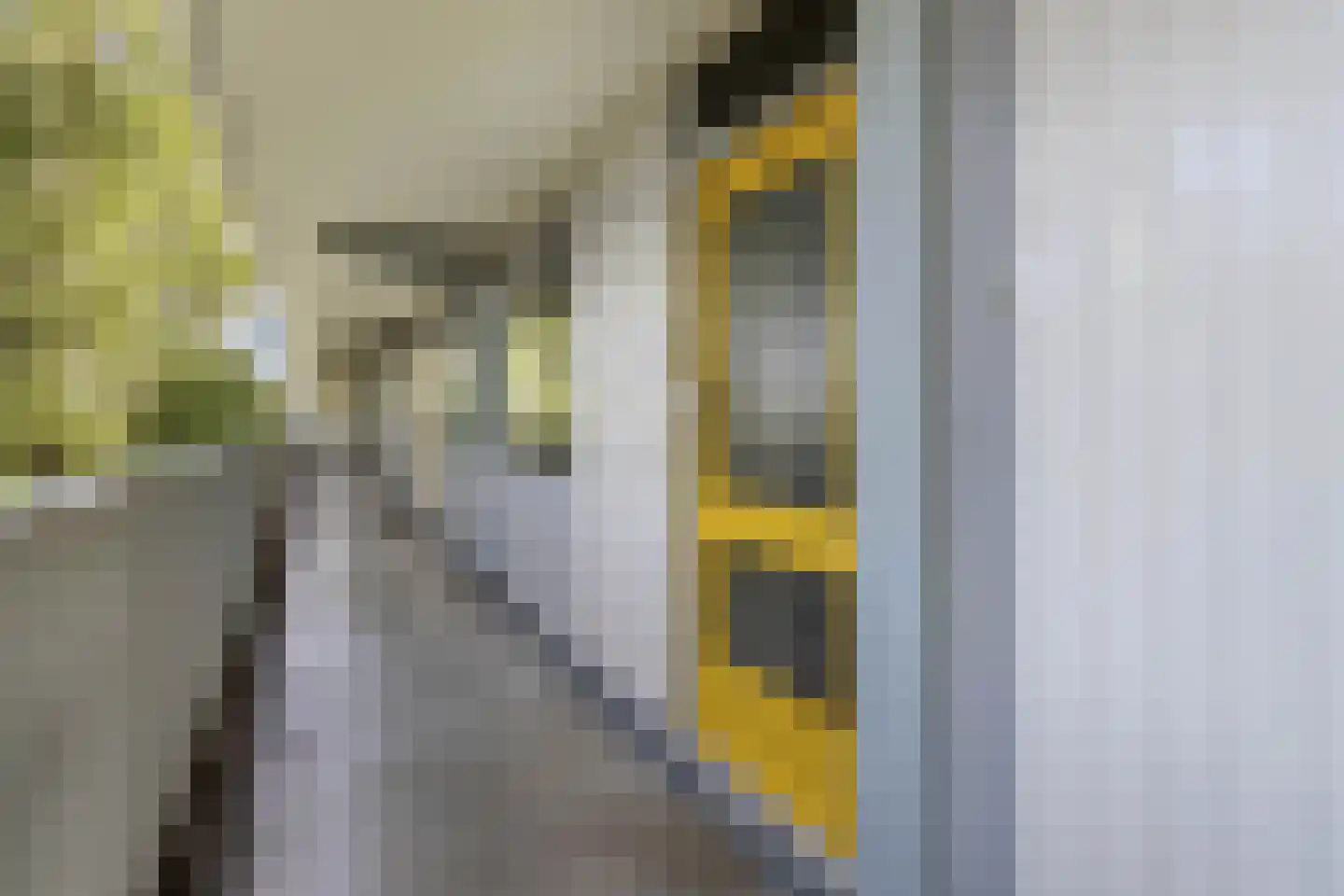 Tjaarda 316 Drachten thumbnail 15