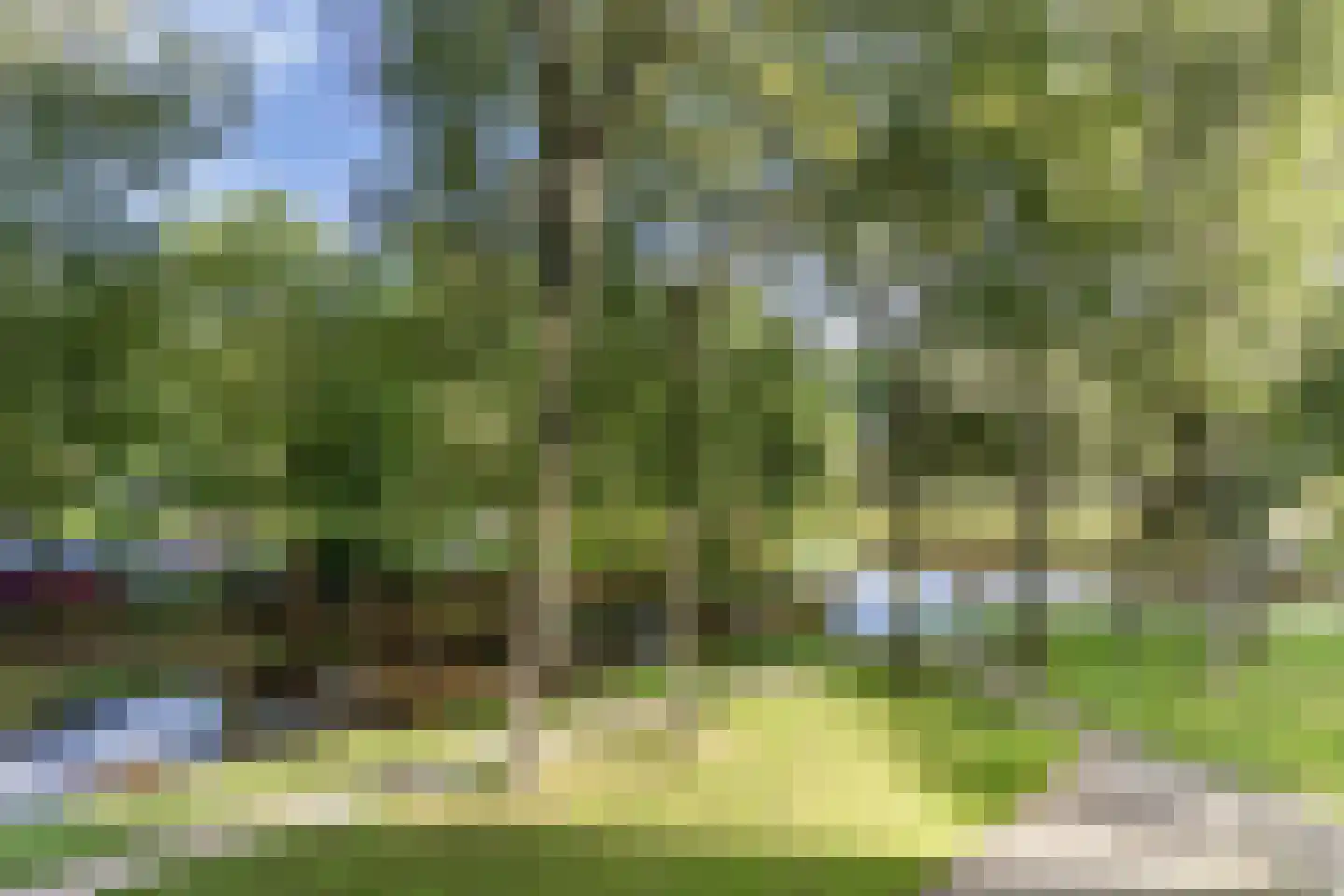Tjaarda 316 Drachten thumbnail 16