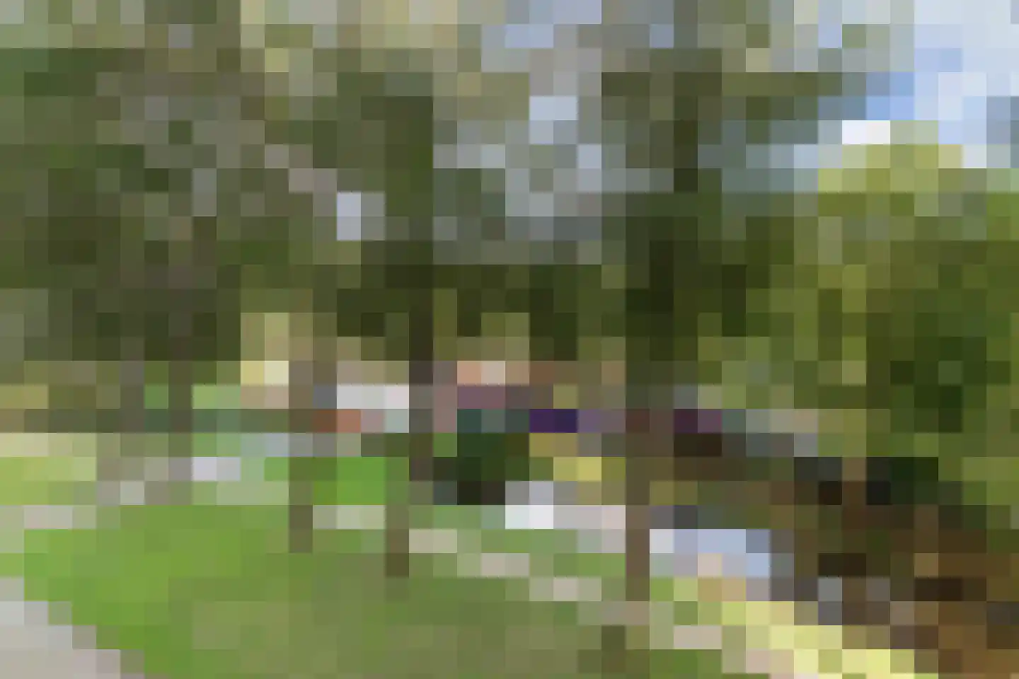Tjaarda 316 Drachten thumbnail 17