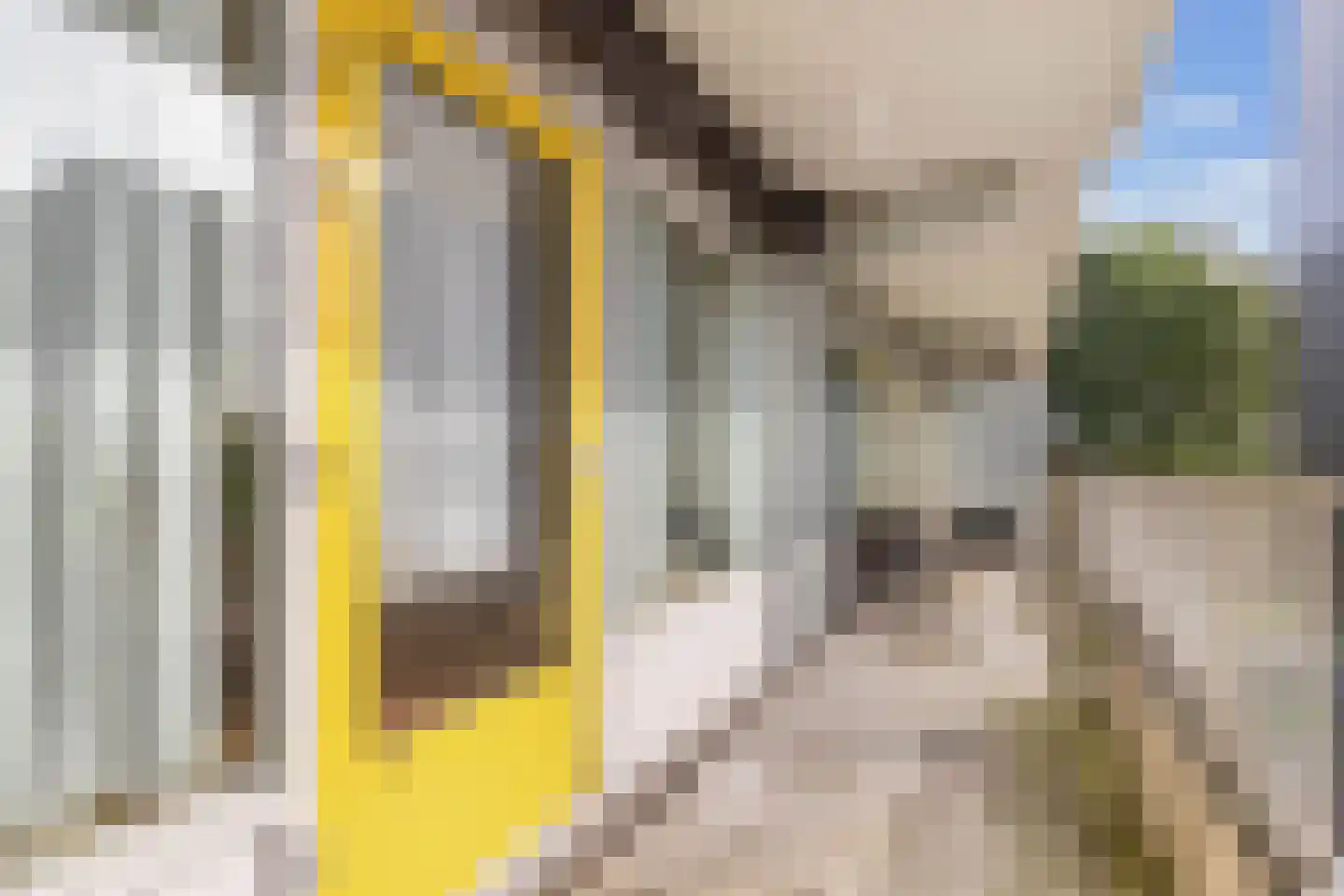 Tjaarda 316 Drachten thumbnail 27