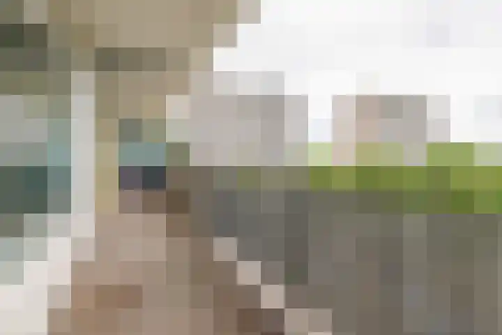 Tjaarda 334 Drachten thumbnail 21
