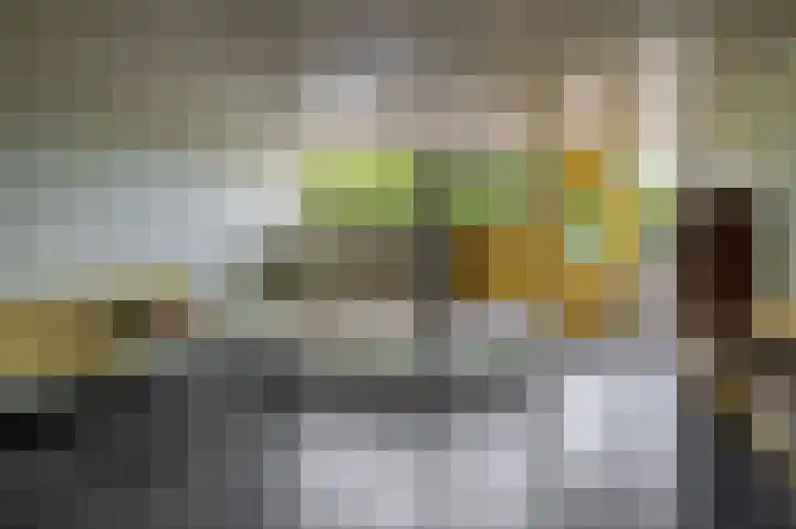 Tjaarda 334 Drachten thumbnail 22