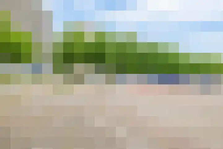 Tjaarda 334 Drachten thumbnail 24