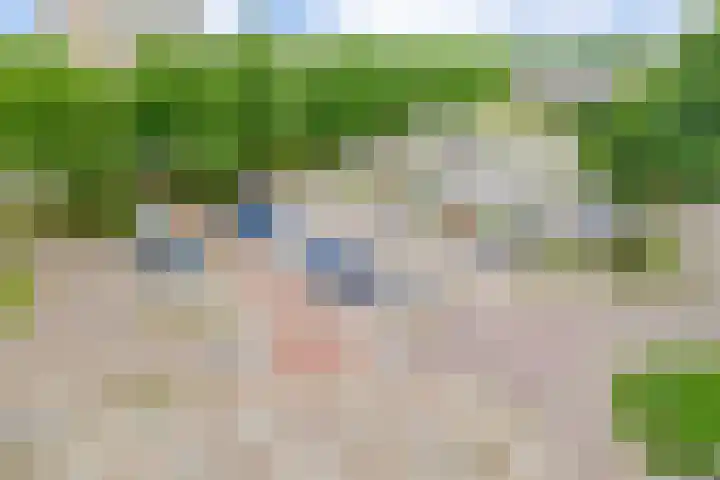 Tjaarda 334 Drachten thumbnail 25