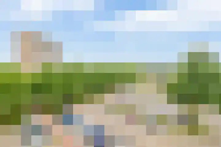 Tjaarda 334 Drachten thumbnail 26