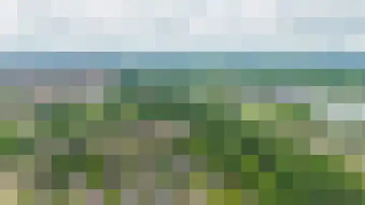 Tjaarda 334 Drachten thumbnail 30
