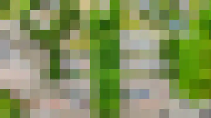 Tjaarda 334 Drachten thumbnail 31