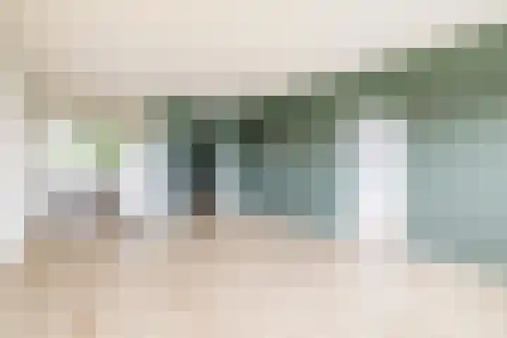 Tjaarda 334 Drachten thumbnail 5