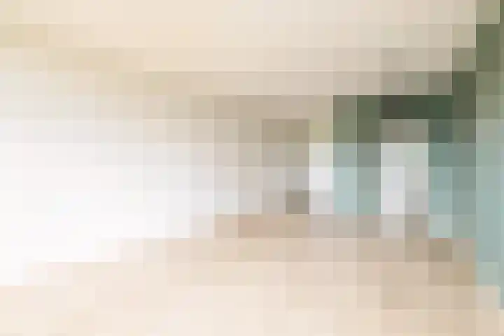 Tjaarda 334 Drachten thumbnail 6
