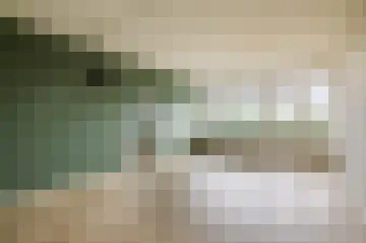 Tjaarda 334 Drachten thumbnail 8