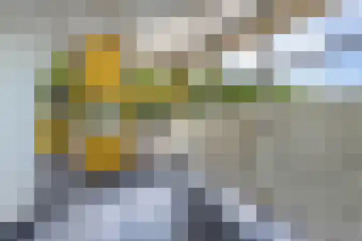 Tjaarda 348 Drachten thumbnail 11