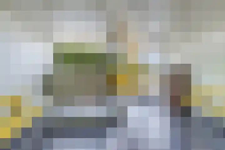 Tjaarda 348 Drachten thumbnail 12