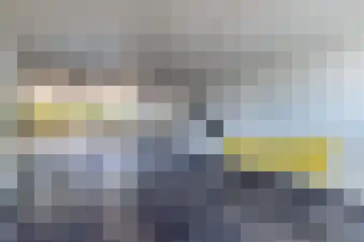 Tjaarda 348 Drachten thumbnail 13