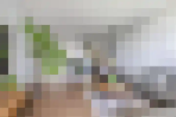 Tjaarda 348 Drachten thumbnail 20