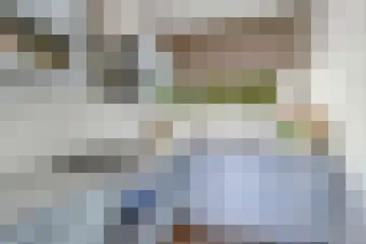 Tjaarda 348 Drachten thumbnail 24