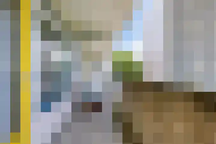 Tjaarda 348 Drachten thumbnail 32