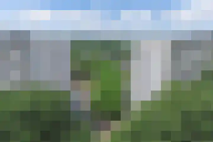 Tjaarda 348 Drachten thumbnail 37