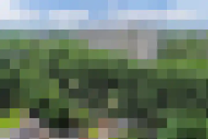 Tjaarda 348 Drachten thumbnail 38