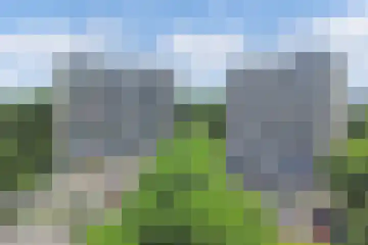 Tjaarda 348 Drachten thumbnail 6
