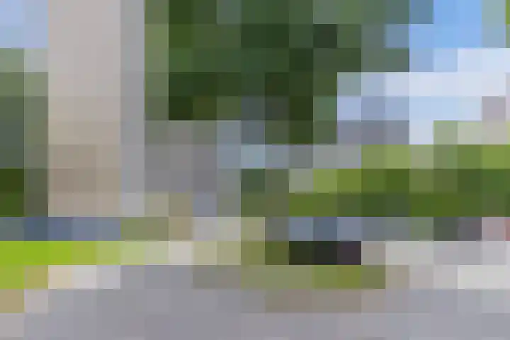 Tjaarda 348 Drachten thumbnail 7