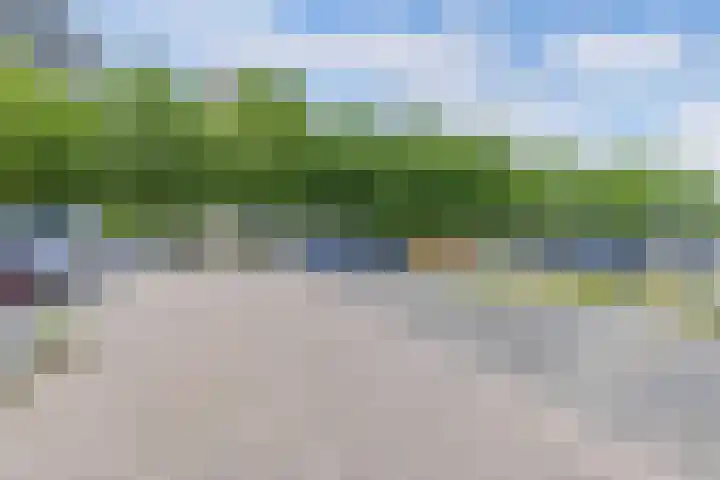 Tjaarda 348 Drachten thumbnail 9