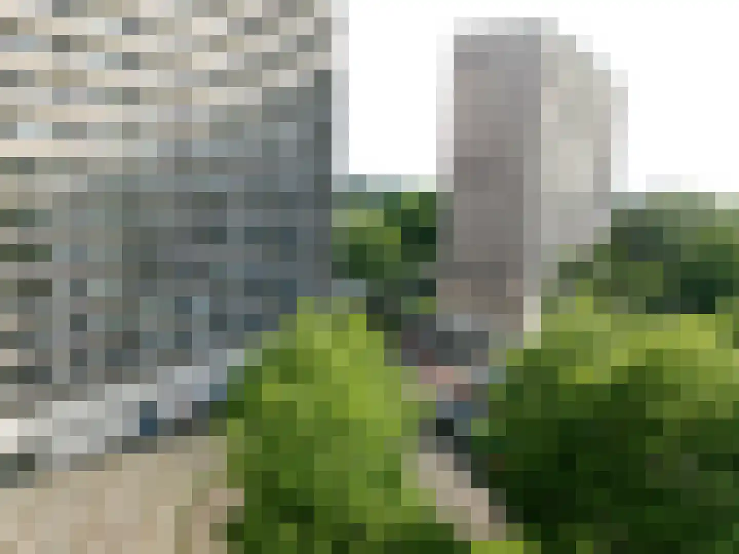 Tjaarda 352 A Drachten thumbnail 13