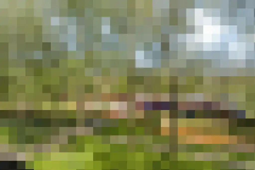 Tjaarda 352 A Drachten thumbnail 16