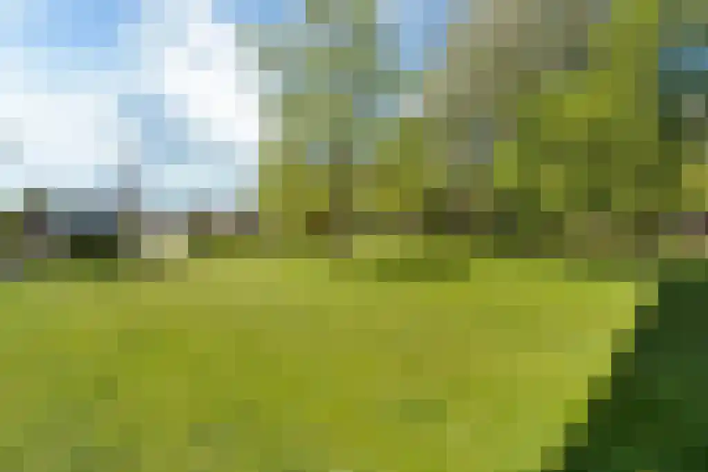 Tjaarda 352 A Drachten thumbnail 17