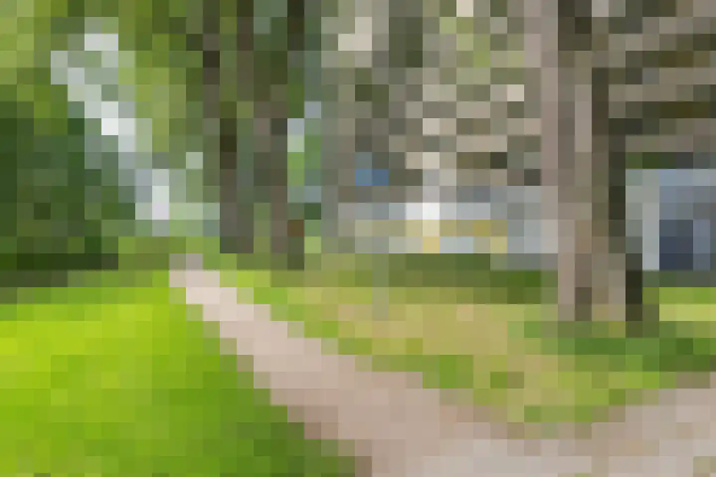 Tjaarda 356 Drachten thumbnail 33