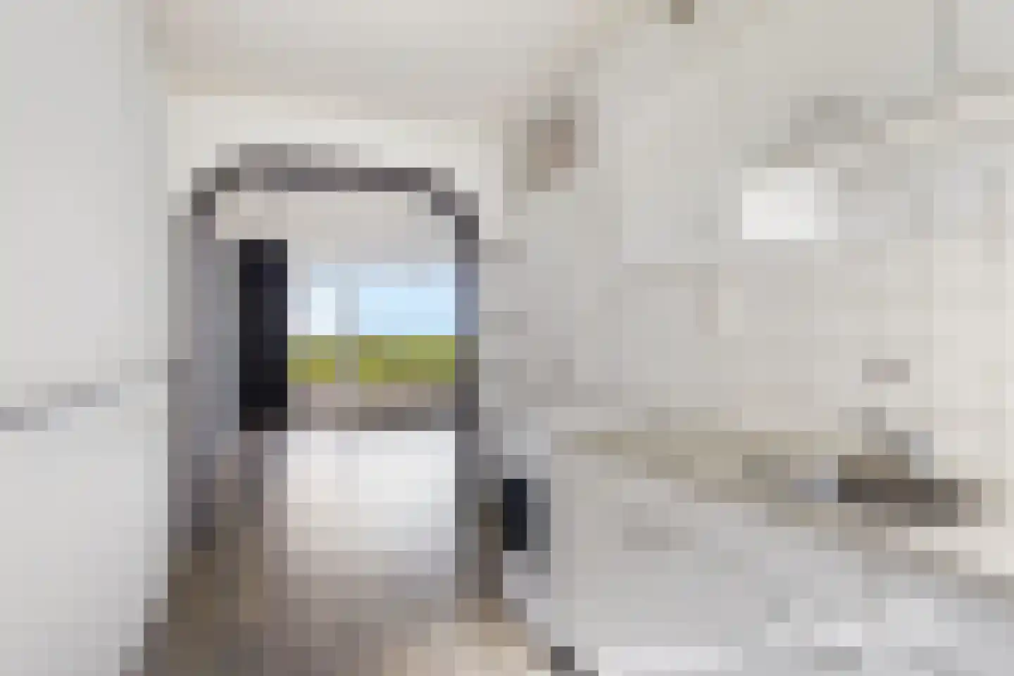 Tjaarda 356 Drachten thumbnail 4