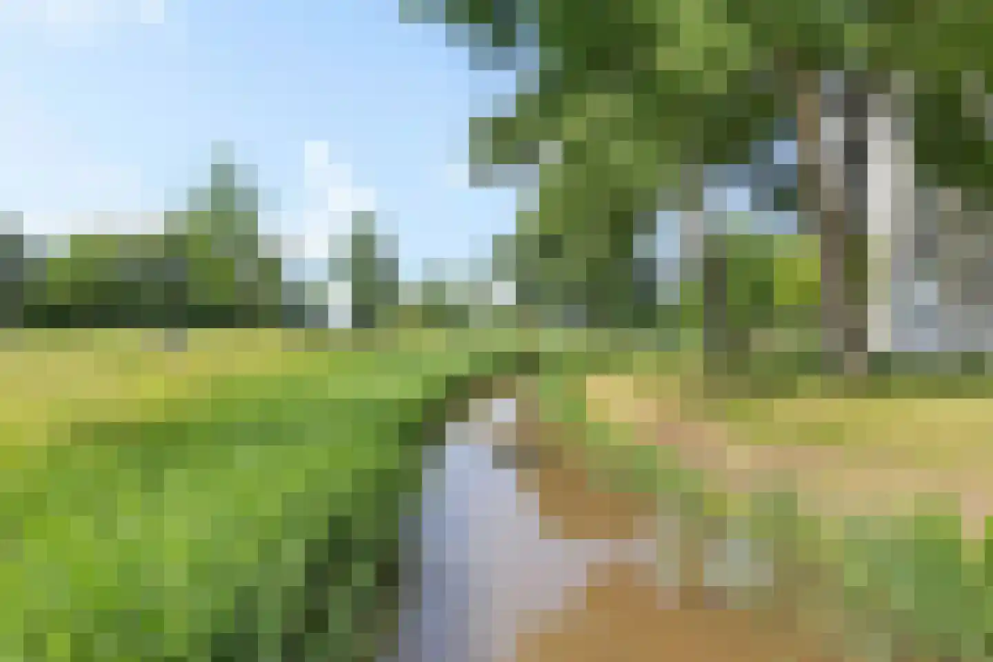 Tjaarda 356 Drachten thumbnail 45