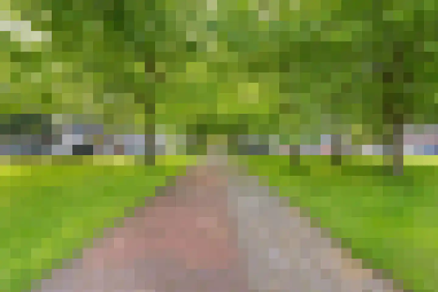 Tjaarda 356 Drachten thumbnail 46
