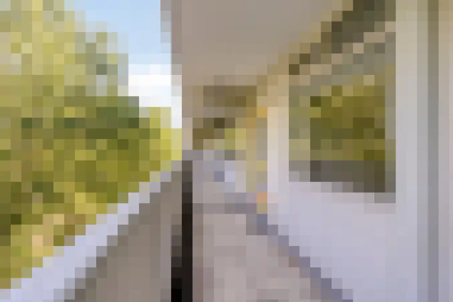 Tjaarda 366 Drachten thumbnail 11