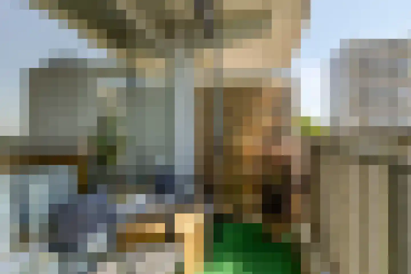 Tjaarda 366 Drachten thumbnail 4