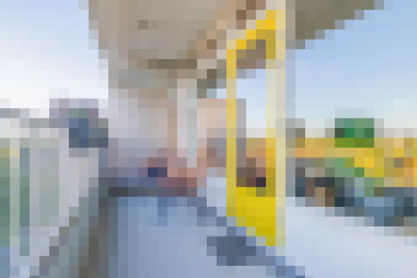Tjaarda 374 a Drachten thumbnail 19