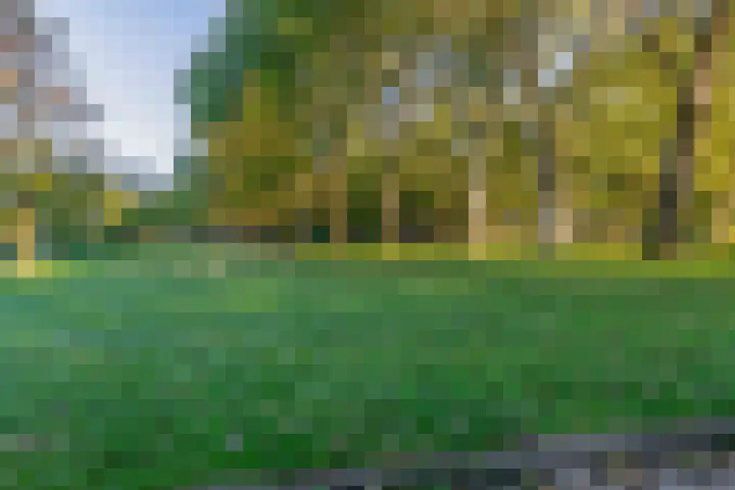 Tjaarda 374 a Drachten thumbnail 31