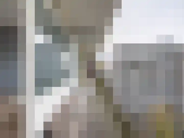 Tjaarda 378 Drachten thumbnail 11