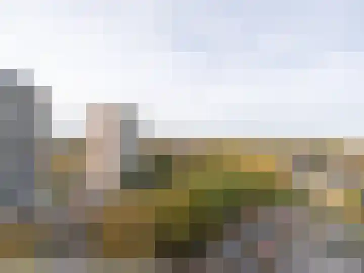 Tjaarda 378 Drachten thumbnail 15