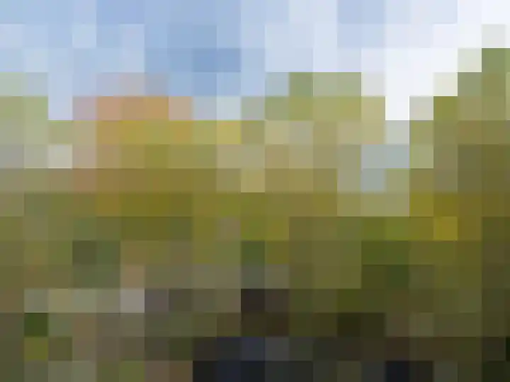 Tjaarda 378 Drachten thumbnail 22